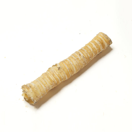 Beef Trachea